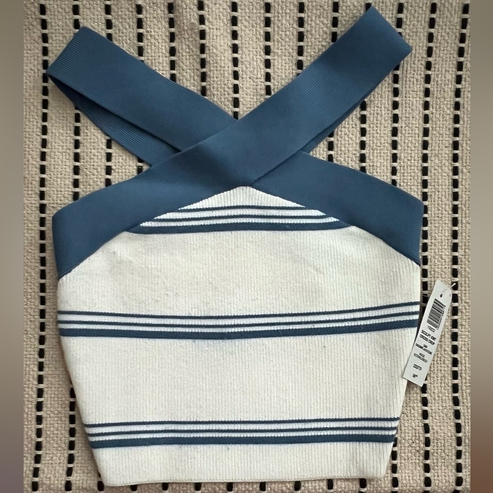 Aritzia Snow White and Blue Knit Crop Top